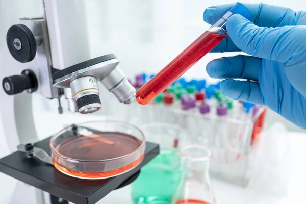 Laboratuvarda mikroskopla çalışan Asyalı biyokimyacı ya da mikrobiyolog. Coronavirus salgınını korumak için. Covid19, bakteri ve mikroplar..