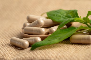 Andrographis paniklemesi veya kariyer yaprağı bitkisi covid-19 coronavirüs enfeksiyonunu tedavi etmek için bitki kapsülleri ile.