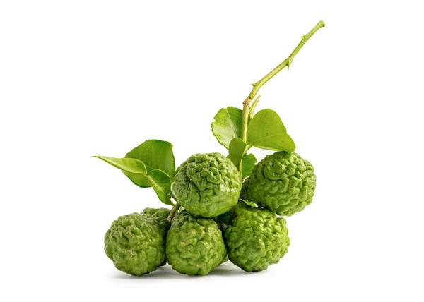 Fresh Bergamot Kaffir Lime Leaf Isolate White Background Clipping Path — Stock Photo, Image