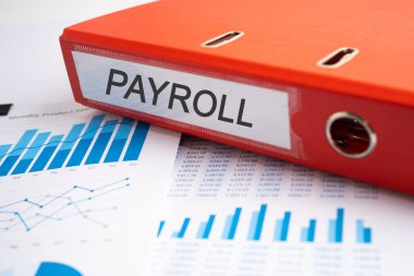 Maaş bordrosu. Binder veri finansmanı ofiste grafik analizi ile iş raporlama.