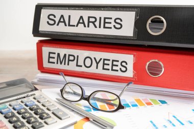 Salaries Employees. Binder data finance report business with graph analysis in office.