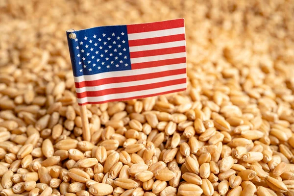 Granos Trigo Con Bandera Estados Unidos Exportación Comercial Concepto Economía — Foto de Stock