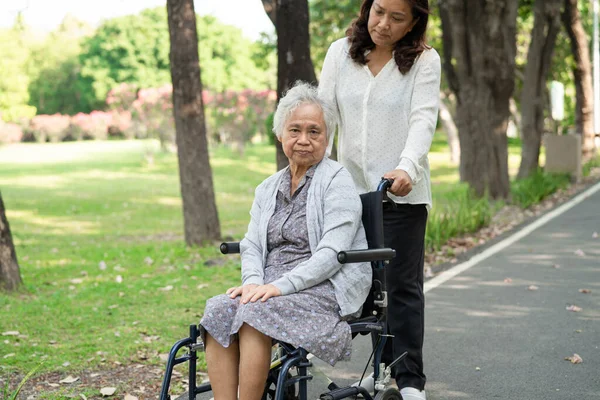 공원에서 휠체어에 행복하게 지내고 아시아 노인이나 노부인을 돌보는 — 스톡 사진