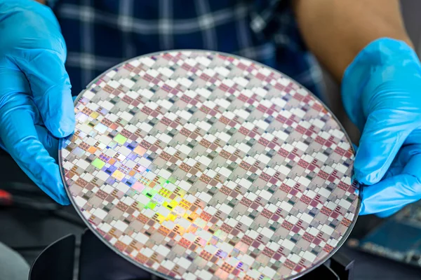 Silicon wafer for manufacturing semiconductor of integrated circuit.