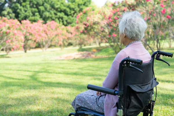 Ázsiai Idős Vagy Idős Hölgy Beteg Boldog Kerekesszékben Parkban Egészséges — Stock Fotó