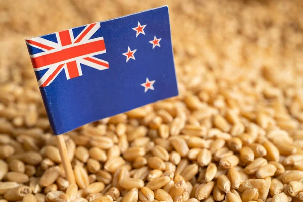 Grains wheat with New Zealand flag, trade export and economy concept.