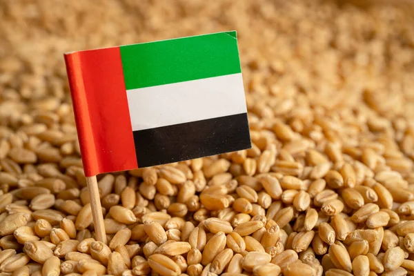 Grains Wheat Uae United Arab Emirates Flag Trade Export Economy — 스톡 사진