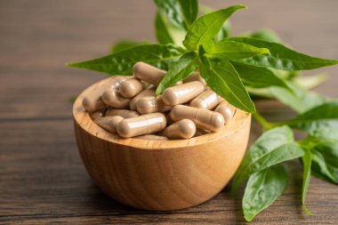 Andrographis paniklemesi ya da kariyer yaprağı bitkisi. Kovid19 koronavirüs enfeksiyonunu tedavi etmek için bitki kapsülleri..