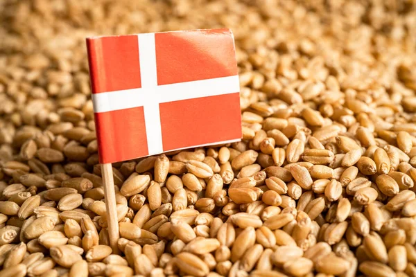 Grains wheat with Denmark flag, trade export and economy concept.