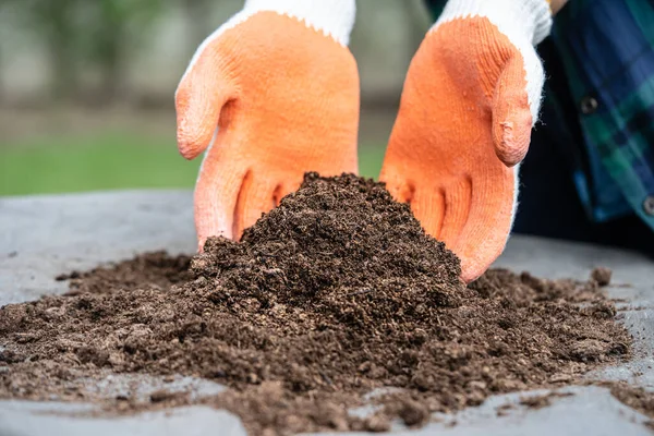 Hand holding peat moss organic matter improve soil for agriculture organic plant growing, ecology concept.