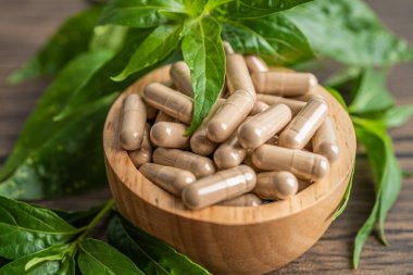 Andrographis paniklemesi ya da kariyer yaprağı bitkisi. Kovid19 koronavirüs enfeksiyonunu tedavi etmek için bitki kapsülleri..