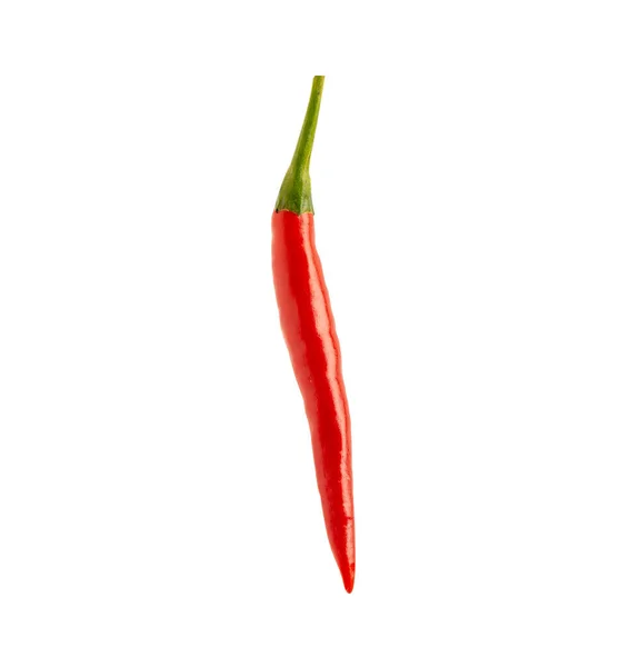 Peppar Eller Chili Röd Och Varm Grönsak Isolerad Vit Bakgrund — Stockfoto