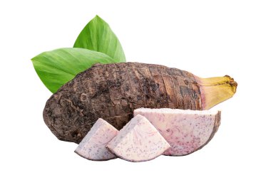 Taro ya da Colocasia esculenta ve beyaz arkaplanda kırpma yolu ile izole edilmiş dilimler.