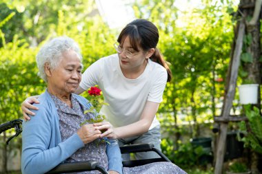 Asyalı yaşlı ya da yaşlı kadın elinde kırmızı gül çiçeği, gülümse ve mutlu bir şekilde güneşli bahçede.