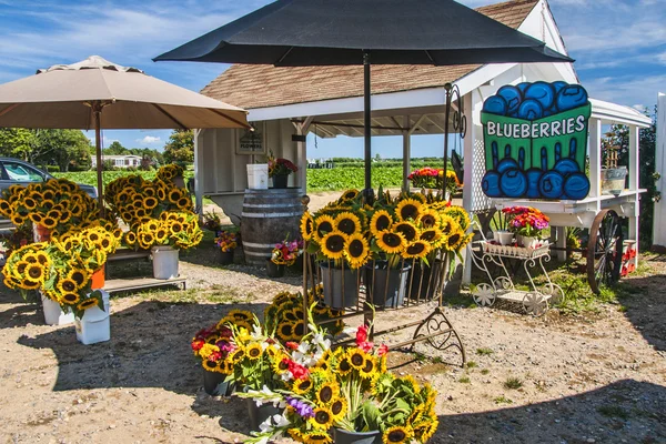 Farm Stand — Stockfoto