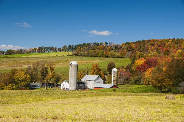 Farm Upstate Ny — Stock Fotó