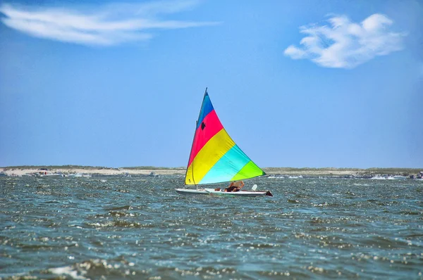 Yelken güneş balığı — Stok fotoğraf