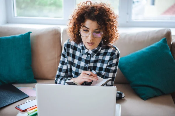 Front view of a curly woman in eyeglasses sitting on sofa, looking at laptop screen. Studying remotely from home. Female freelancer working online on computer — Stockfoto