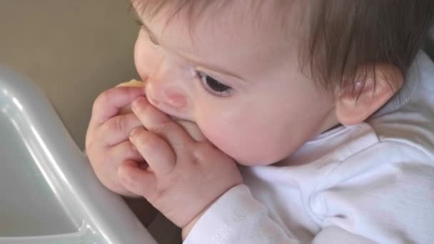 Vídeo de uma menina sentada na cadeira das crianças e comendo frutas sozinha na cozinha. Cuidado com o bebé. Retrato de close-up. — Vídeo de Stock