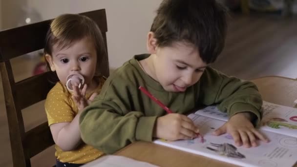 Chlapec kreslí s mladší sestrou na stejné židli, starší bratr se stará o svou sestru. Vývoj dítěte. Barevný portrét. Vývoj dítěte. — Stock video