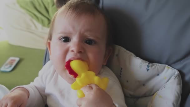 У белокурой малышки болит зуб, когда она держит резиновую игрушку, глядя на камеру, сидящую на стульчике. Развитие ребенка. Развитие ребенка. Ребенок — стоковое видео