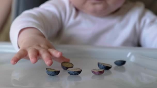 Homályos kép egy kislányról, aki kivesz egy fél bogyós szőlőt az asztalról és megeszi. Egészséges friss élelmiszer. — Stock videók