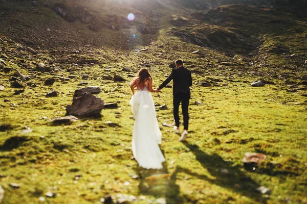 Młodzi żonaci trzymający się za ręce spacerujący po zielonej polanie w górach. Pary wróciły. Podróże weselne. — Zdjęcie stockowe