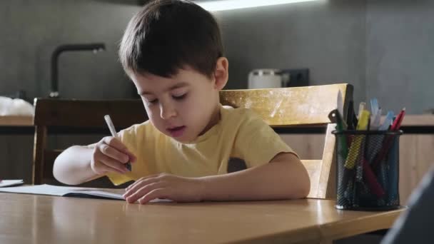 Retrato del colegial sentado en la mesa haciendo los deberes, sosteniendo el lápiz, escribiendo y dibujando en su libro de texto. Concepto de escuela primaria y educación en el hogar — Vídeos de Stock