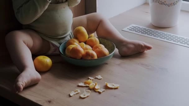 Niña sentada junto a un montón de cáscaras de naranja con un tazón entre las piernas comiendo mandarinas. reh alimentos saludables. Comida ecológica. Alimento dulce. — Vídeos de Stock