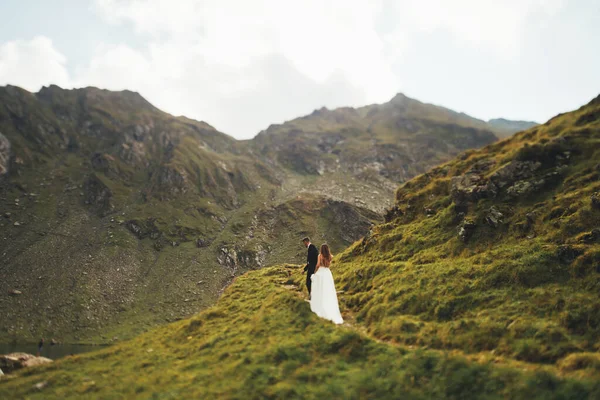 Μακρινή θέα ενός γαμπρού που οδηγεί τη νύφη από το χέρι ενώ περπατάει στα βουνά. Την ημέρα του γάμου. Φυσικό τοπίο. Γαμήλια ταξίδια. Ωραίο τοπίο.. — Φωτογραφία Αρχείου