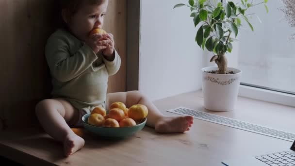 Hungry baby taking an orange from the bowl and biting so unpeeled. Portrait for healthy lifestyle design. Healthy lifestyle. — Stock Video