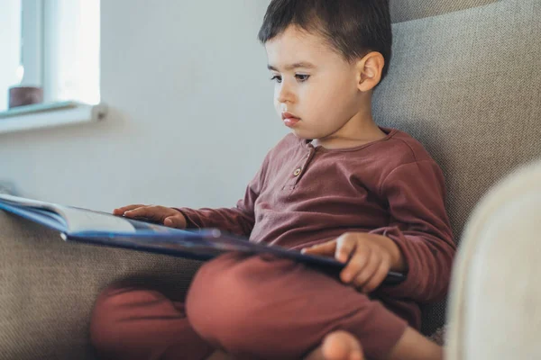 Niño Caucásico Edad Elemental Sentado Sofá Leyendo Libro Casa Educación — Foto de Stock