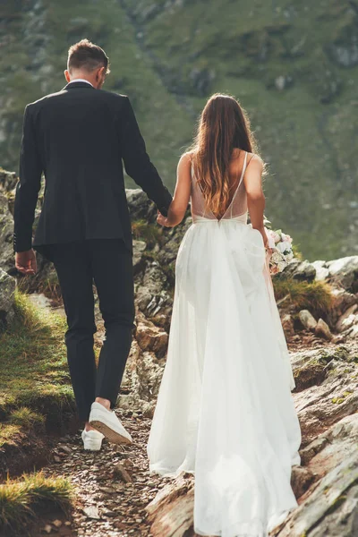白のドレスを歩くと 手を取り合って新郎と花嫁のバックビューは 自然の中で 休日の結婚式 結婚式の旅行 ロマンチックな日を一緒に — ストック写真