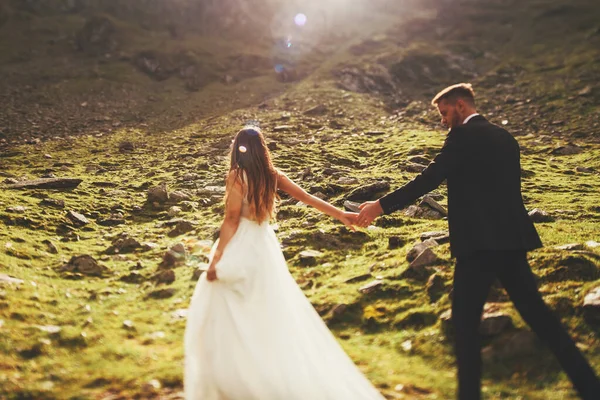 自信の花嫁は山の緑の丘の上に彼をリード新郎の手を保持します 男と女が畑を歩いている 新婚旅行は結婚式の日を楽しむ — ストック写真