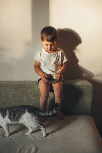 Maluch Kaukaski Słodki Chłopiec Jedzący Jagody Swoim Kotem Domu Żywność — Zdjęcie stockowe