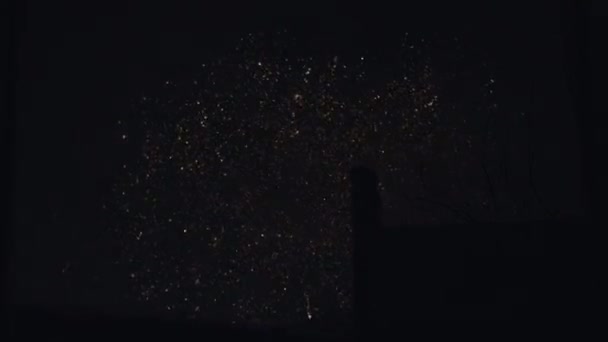 Hermosos Fuegos Artificiales Sobre Ciudad Para Dar Bienvenida Feliz Año — Vídeos de Stock