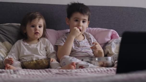 Interesado Hermano Hermanita Viendo Películas Descubrimiento Comiendo Palomitas Maíz Sentado — Vídeo de stock