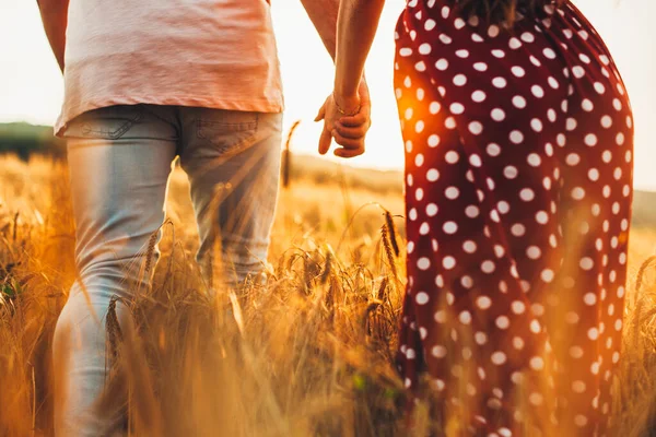 Close Portrait Couples Holding Hands Wheat Field Sunny Summer Day — Stock fotografie