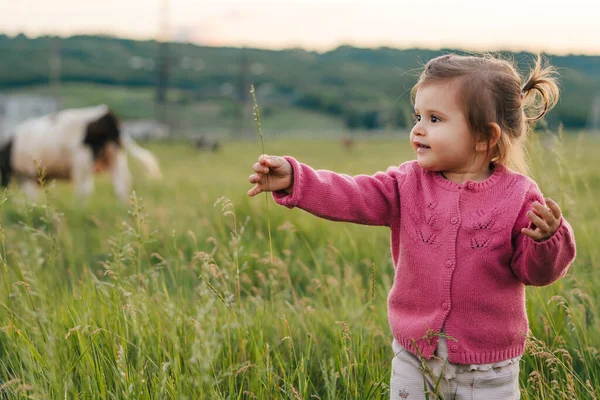 Portrait Little Girl Who Has Grabbed Blade Grass Examines Thoroughly — Fotografia de Stock