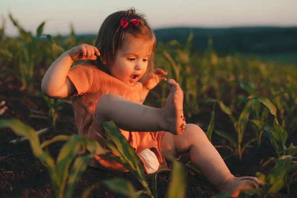Cheerful Baby Girl Sitting Playing Green Cornfield Sunny Day Spring — Fotografia de Stock