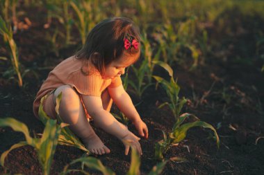 Caucasian baby girl sitting in a corn field playing with ground. Having fun. Country life. Nature landscape. Spring, summer garden.