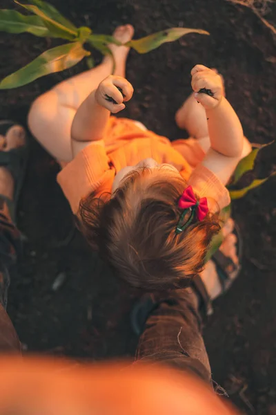 Top View Baby Girl Sitting Ground Cornfield Playing Ground Holding — Stockfoto