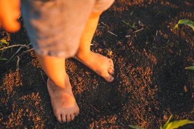 Top view of a boys legs standing in the cool ground in the evening. Nature farming. Summer nature. Top view.