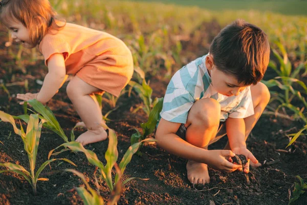 Two Children Exploring Ground Theirs Own Hands Recreation Holiday Activity — Stok fotoğraf