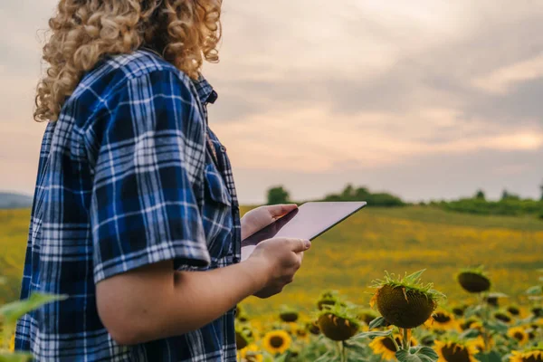 Curly Woman Agronomist Examines Blooming Sunflowers Holding Tablet Field Smart — Stockfoto