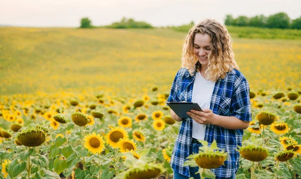 Copy Space Smiling Curly Woman Standing Sunflower Field Using Technology — Stockfoto