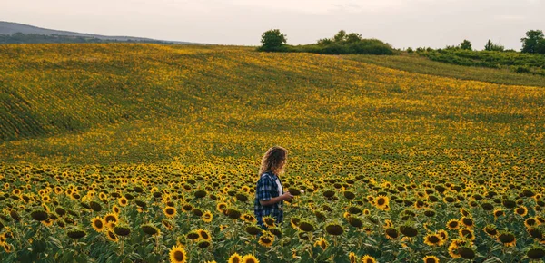 Copy Space Woman Farmer Working Sunflower Field Using Mobile Application — Zdjęcie stockowe