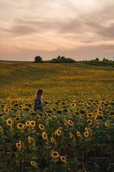Copy Space Distant View Girl Standing Field Sunflowers Using Tablet — Stockfoto
