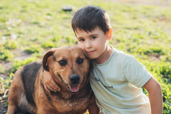 Smiling Little Boy Hugging His Purebred Dog Sitting Park Posing — Fotografia de Stock