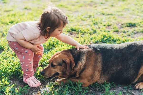 Little Caucasian Girl Caressing Her Dog Outdoors Meadow Sunny Spring — стоковое фото